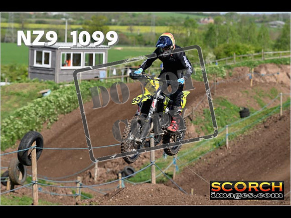 IntersGreen-082