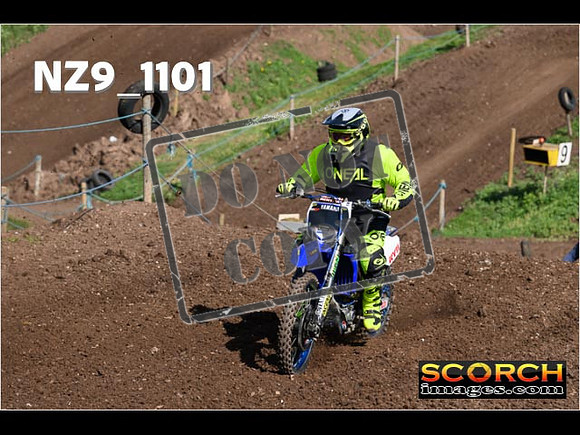 IntersGreen-084