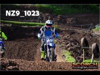 IntersGreen-008