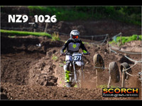 IntersGreen-011