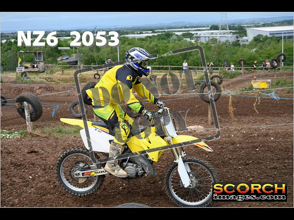 IntersGreen-082