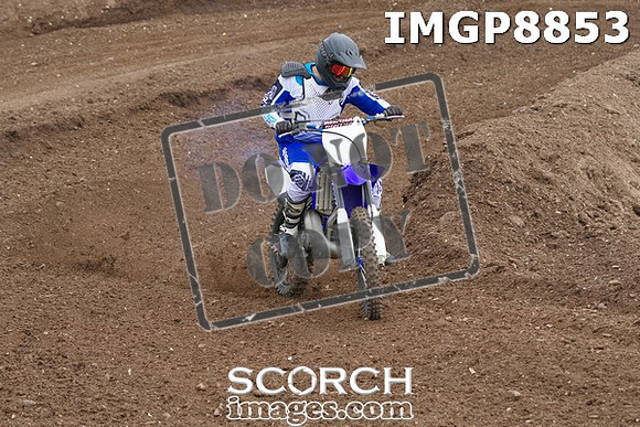 IMGP8853