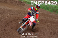 IMGP6429