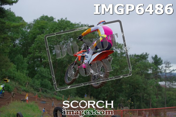 IMGP6486