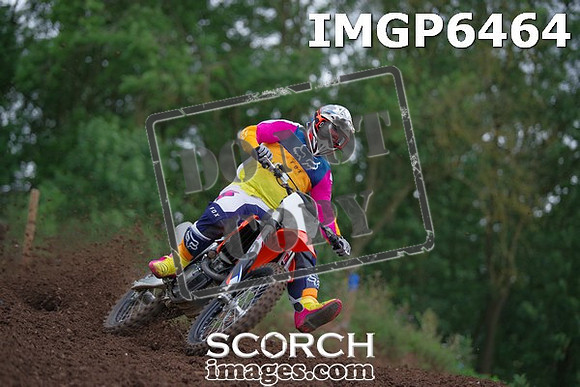 IMGP6464