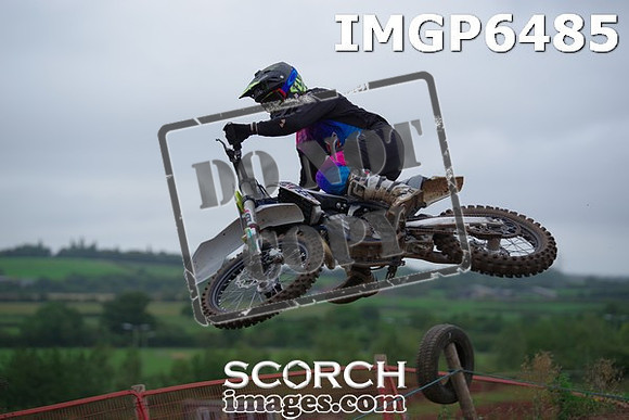 IMGP6485