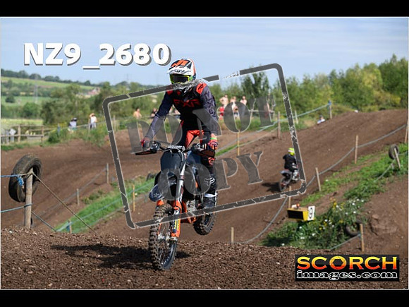 IntersGreenOrange-080