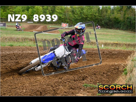Experts-155