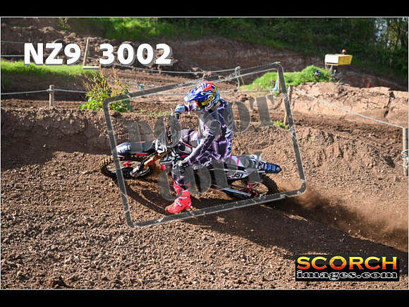 Experts-018