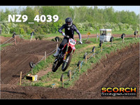 Experts-019