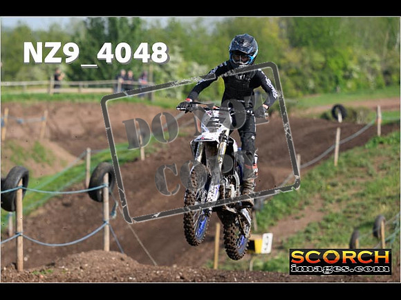 Experts-028