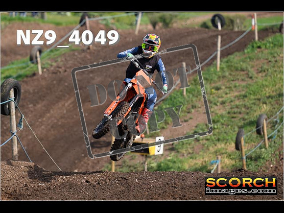 Experts-029