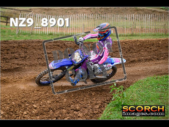 Experts-120