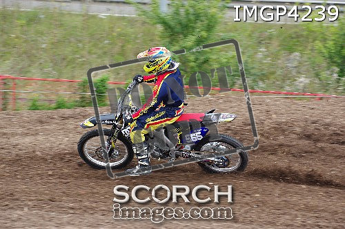 IMGP4239