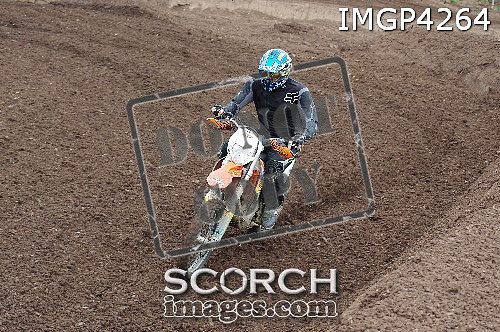 IMGP4264
