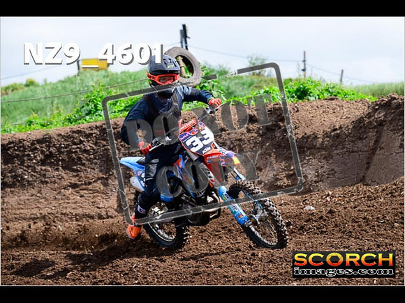 IntersGreen-043