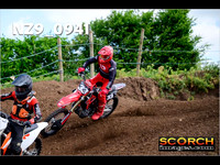 IntersGreen-006