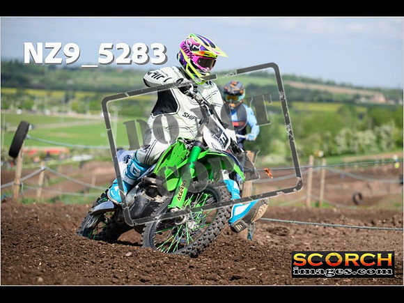 InterGreen-007