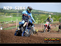 InterGreen-008