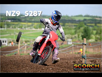 InterGreen-011