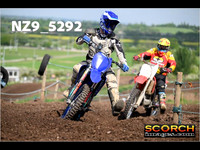 InterGreen-016