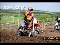 InterGreen-017