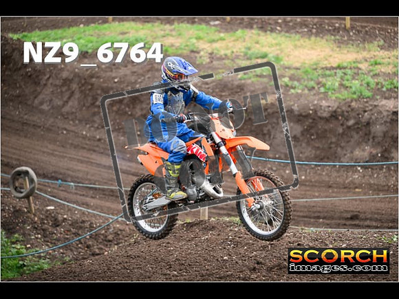 IntersGreenOrange-033