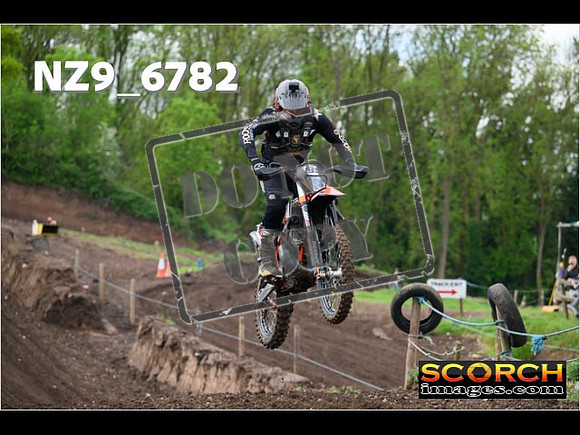 IntersGreenOrange-051