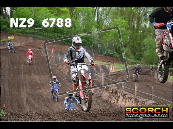 IntersGreenOrange-057