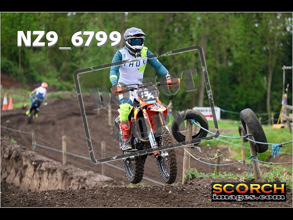 IntersGreenOrange-068