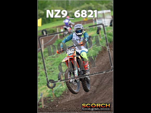 IntersGreenOrange-090