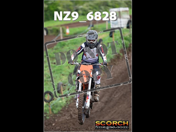 IntersGreenOrange-097