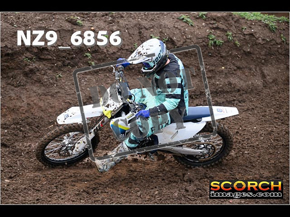IntersGreenOrange-125