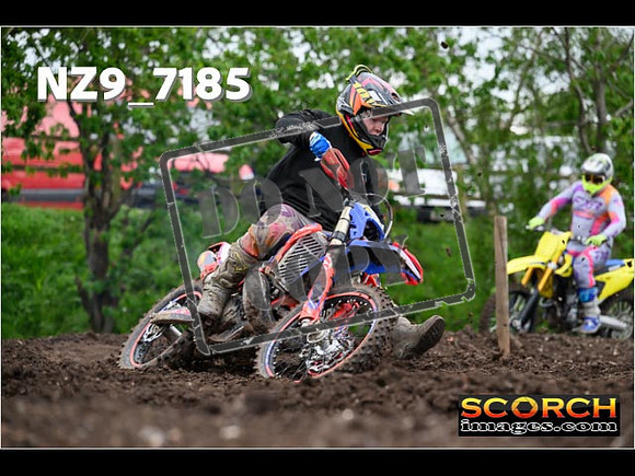 IntersGreenOrange-148