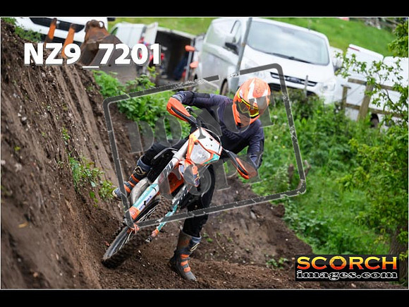 IntersGreenOrange-161