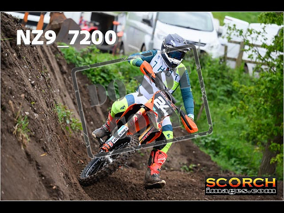 IntersGreenOrange-160