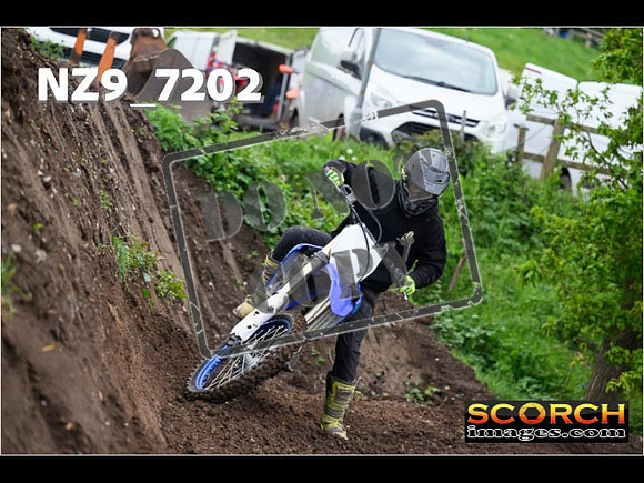 IntersGreenOrange-162