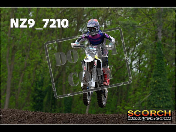 IntersGreenOrange-170