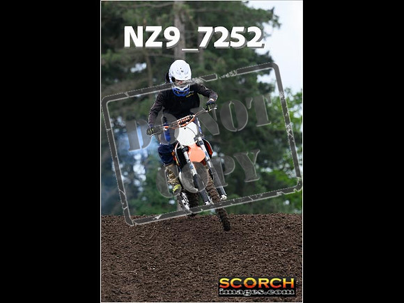 IntersGreenOrange-211