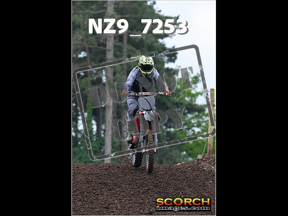 IntersGreenOrange-212