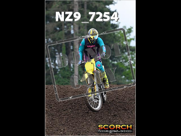 IntersGreenOrange-213