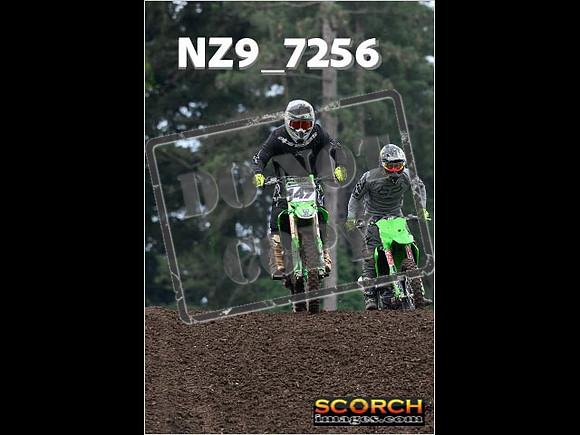 IntersGreenOrange-215
