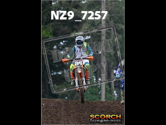 IntersGreenOrange-216