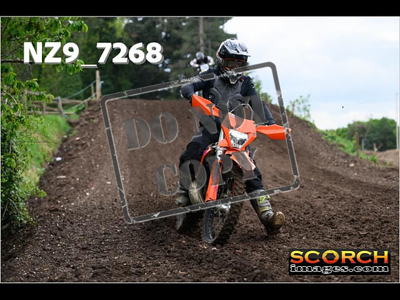 IntersGreenOrange-227