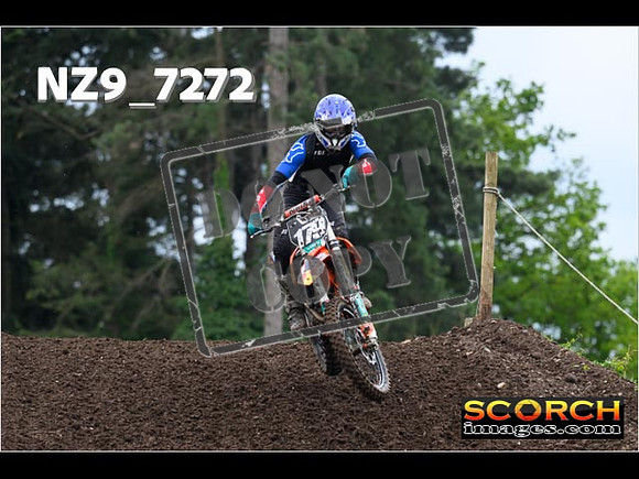 IntersGreenOrange-231