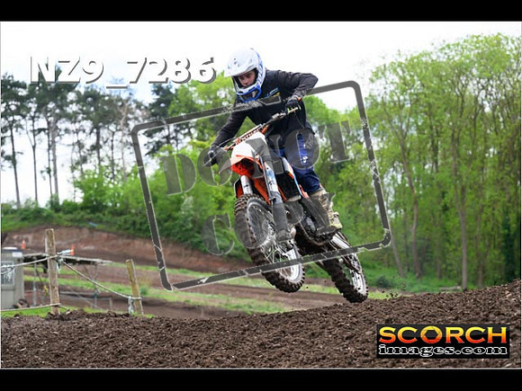 IntersGreenOrange-245