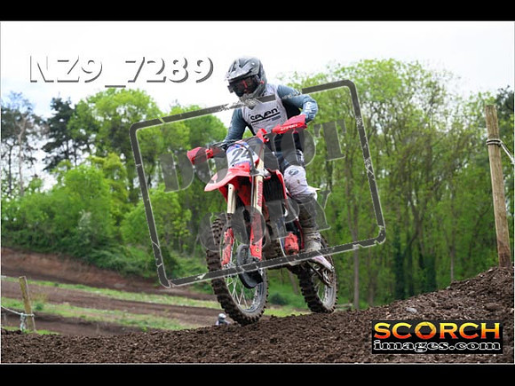 IntersGreenOrange-248