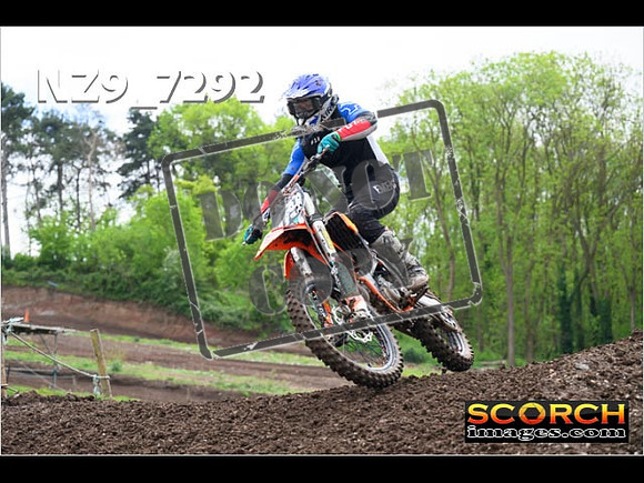 IntersGreenOrange-251