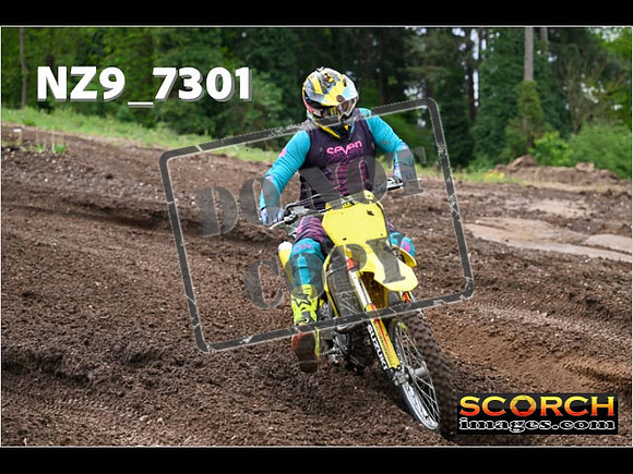 IntersGreenOrange-260