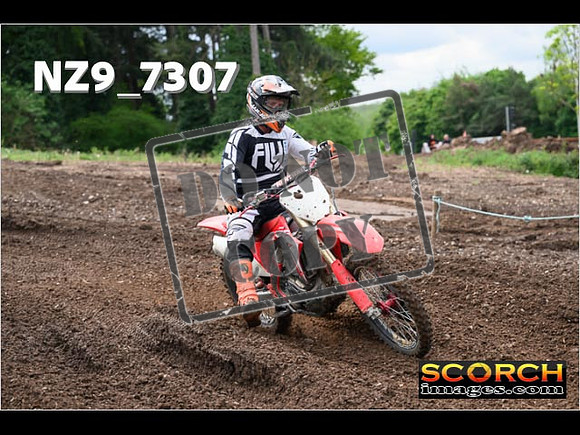 IntersGreenOrange-266